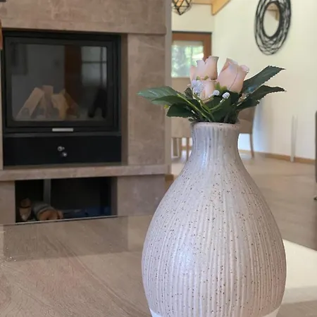 Vikendica Anamaria Blidinje *