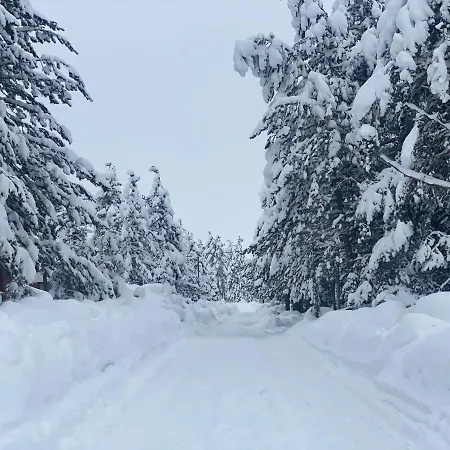 Alpesi faház Vikendica Anamaria Blidinje *